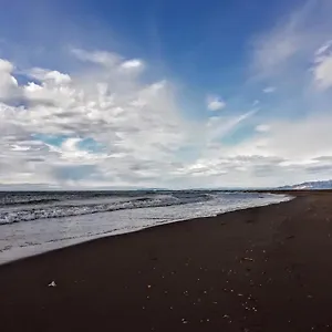 Delta Escapada , L'Eucaliptus Spanje