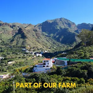 Casa Camino Tamadaba , Agaete (Gran Canaria) Spanje