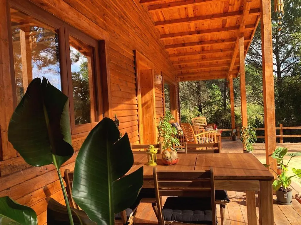 Cabanas Del Bosque Cerca De Cordoba Spain